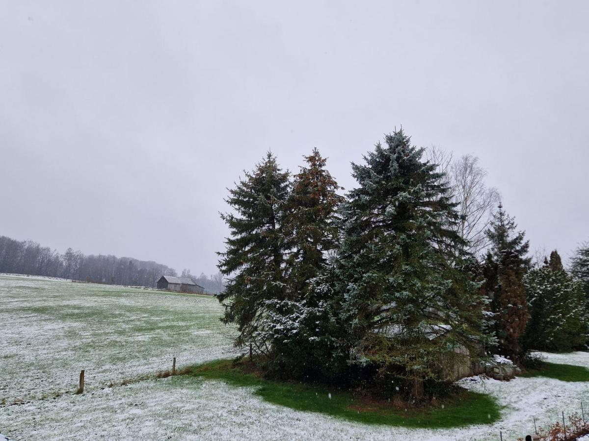 Ferienwohnung Arnsberger Wald Möhnesee Esterno foto